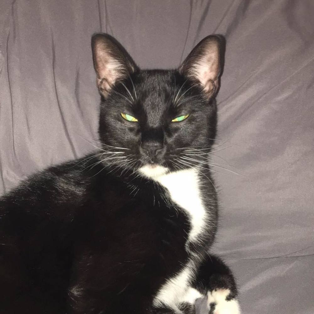 Meet your Posher, Chloe